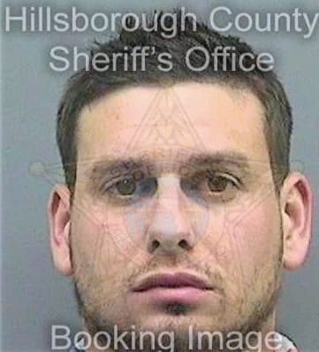 Lausier Christopher - Hillsborough County, FL 