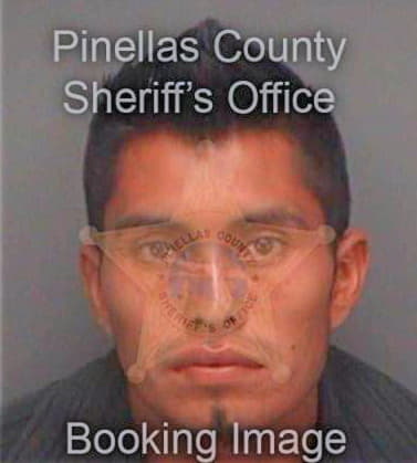 Garcia Marco - Pinellas County, FL 