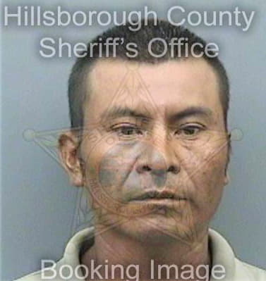 Garcia Reynaldo - Hillsborough County, FL 