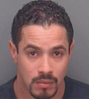 Perez-Negron Jose - Pinellas County, FL 