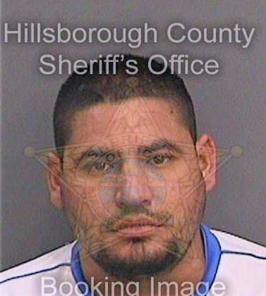 Reyesgonzalez Ronaldi - Hillsborough County, FL 