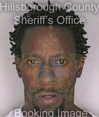 Bogan Anthony - Hillsborough County, FL 