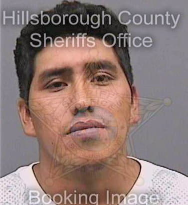 Tomas Eduardo - Hillsborough County, FL 