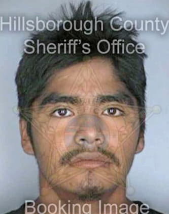 Dominguezgarcia Guillermo - Hillsborough County, FL 