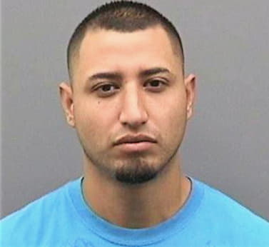 Solorionavarro Ernesto - Hillsborough County, FL 