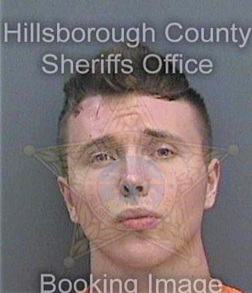 Lewis Britton - Hillsborough County, FL 