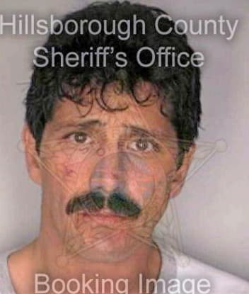 Mcdonald Frank - Hillsborough County, FL 