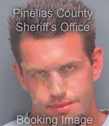 Ramsey Michael - Pinellas County, FL 