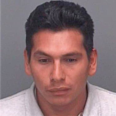 Vasquez Vigilio - Pinellas County, FL 