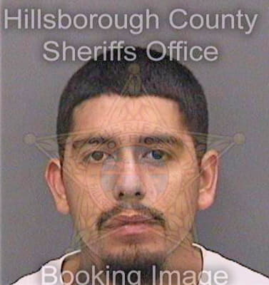 Torres Jorge - Hillsborough County, FL 