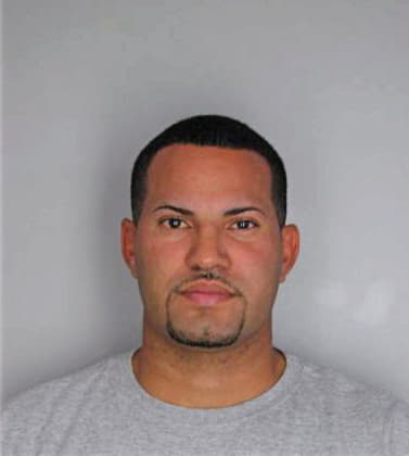Mendozalebron Elvin - Hillsborough County, FL 