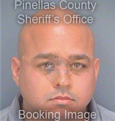 Espinosa Benjamin - Pinellas County, FL 