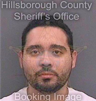 Martinezgonzalez Daniel - Hillsborough County, FL 