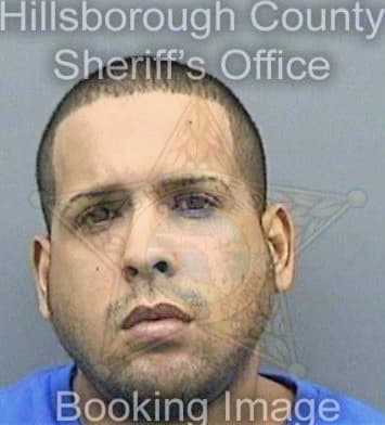 Pesanterivera Greg - Hillsborough County, FL 