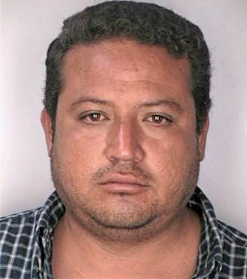 Silva Ricardo - Hillsborough County, FL 