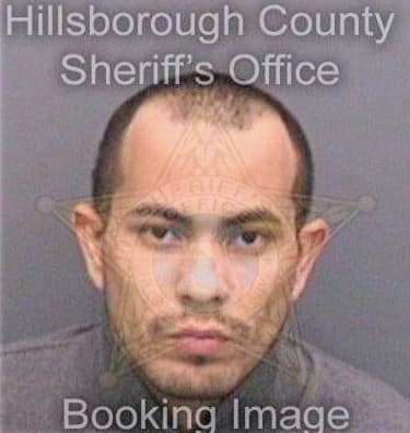 Figueroamarcano Edgardo - Hillsborough County, FL 