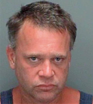 Mcdonagh Mark - Pinellas County, FL 