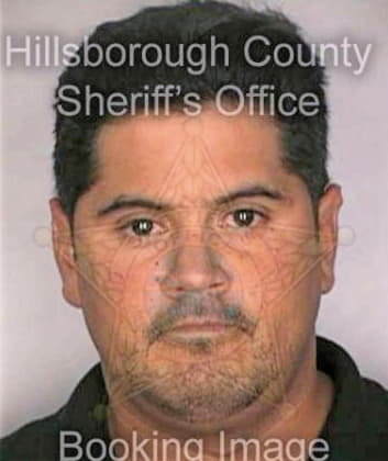 Donoso Carlos - Hillsborough County, FL 