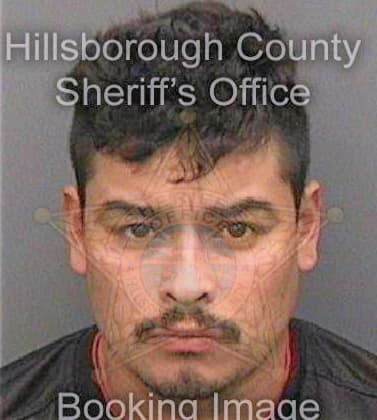 Saucedomerida Jose - Hillsborough County, FL 