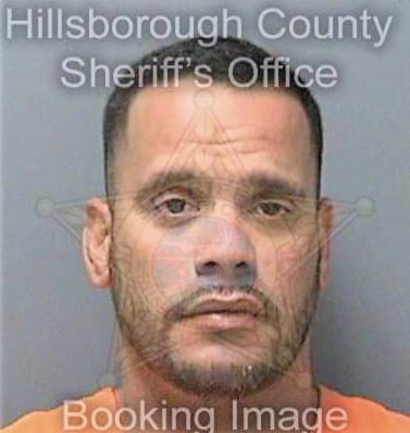 Echevarriaramirez Jose - Hillsborough County, FL 