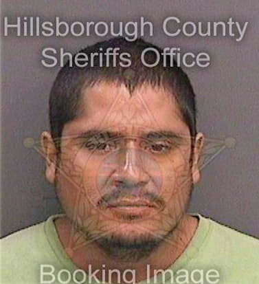 Ortizsoriano Roberto - Hillsborough County, FL 