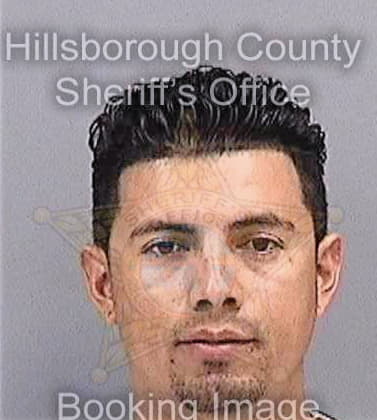 Sanchez Humberto - Hillsborough County, FL 