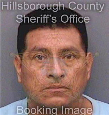 Larribavidal Jose - Hillsborough County, FL 