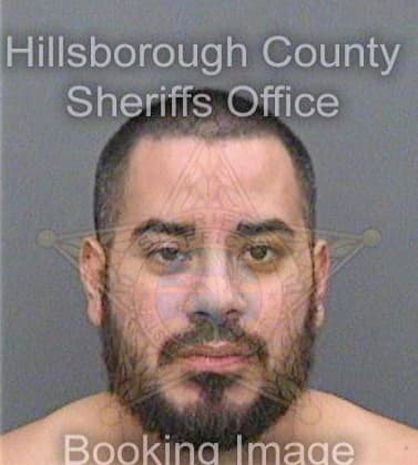 Bernal David - Hillsborough County, FL 