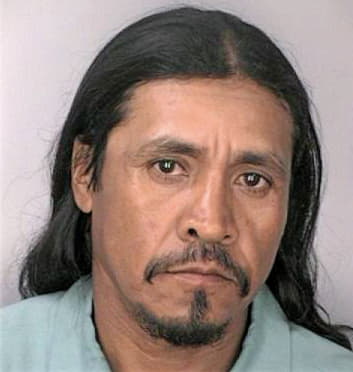 Leonramirez Miguel - Hillsborough County, FL 