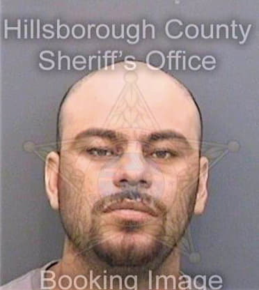 Tamayoramirez Guillermo - Hillsborough County, FL 