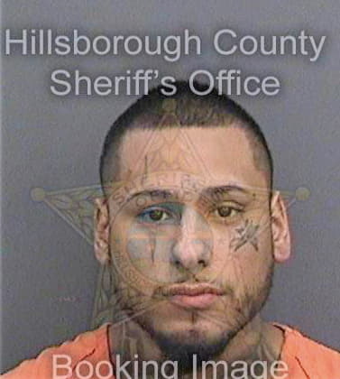 Deleon Danny - Hillsborough County, FL 