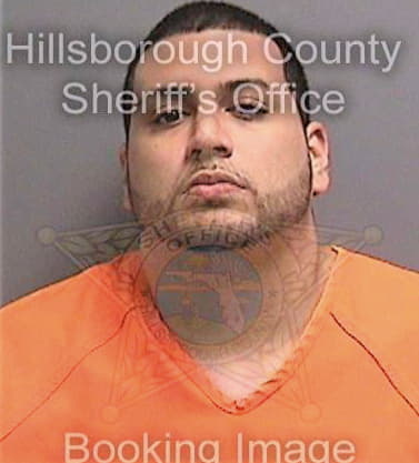 Ramirez Marcelo - Hillsborough County, FL 