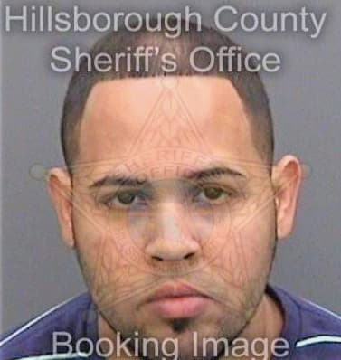 Davila Elimelec - Hillsborough County, FL 