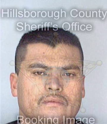 Gomez Fernando - Hillsborough County, FL 