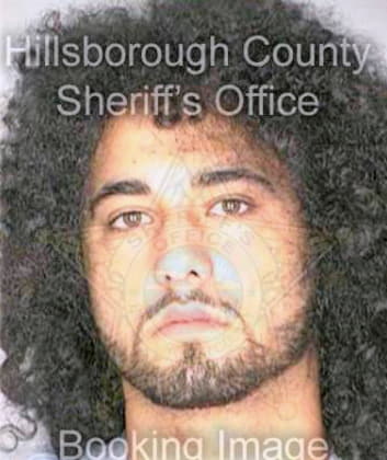 Gonzalez James - Hillsborough County, FL 