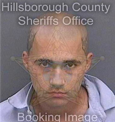 Levine Nicolas - Hillsborough County, FL 