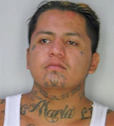 Trejo Oscar - Hillsborough County, FL 