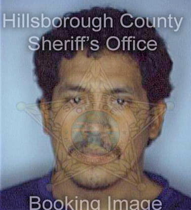 Pena Jose - Hillsborough County, FL 