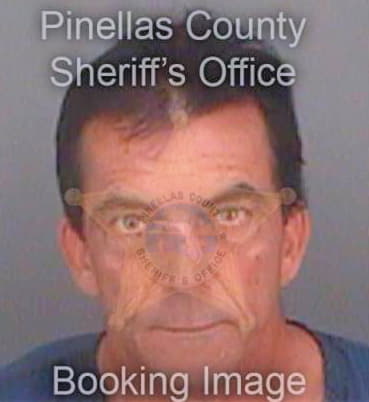 Garcia Raul - Pinellas County, FL 