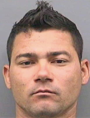 Perezhernandez Abdulay - Hillsborough County, FL 