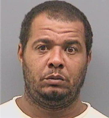 Mcintosh Thomas - Hillsborough County, FL 