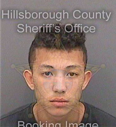 Chung David - Hillsborough County, FL 