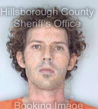 Davis Sean - Hillsborough County, FL 