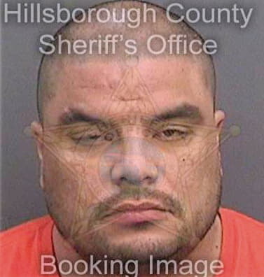 Mejiarosado Miguel - Hillsborough County, FL 
