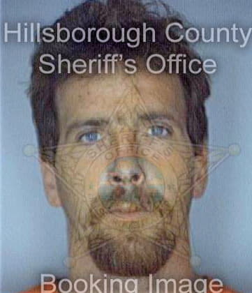 Mathey Daniel - Hillsborough County, FL 