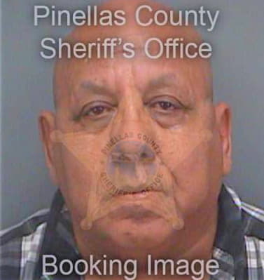 Fonseca Luis - Pinellas County, FL 