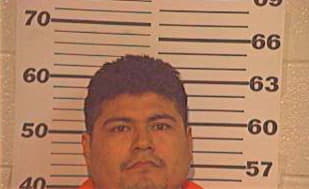 Perez Fernando - Hidalgo County, TX 