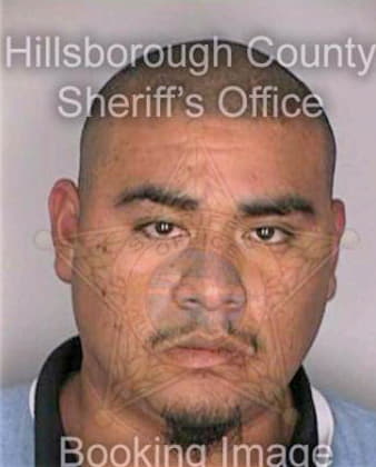 Herrera Jorge - Hillsborough County, FL 