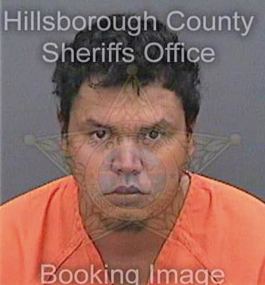 Mejiacastro Manuel - Hillsborough County, FL 