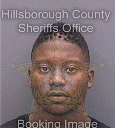 Mcgee Gerrod - Hillsborough County, FL 